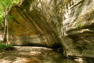 Illinois Kanyonu 'ndaki kumtaşı kanyon duvarları güneşli bir bahar öğleden sonrasında. Aç Rock State Park, Illinois, ABD.
