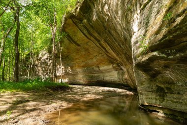 Illinois Kanyonu 'ndaki kumtaşı kanyon duvarları güneşli bir bahar öğleden sonrasında. Aç Rock State Park, Illinois, ABD.