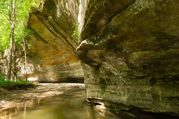 Illinois Kanyonu 'ndaki kumtaşı kanyon duvarları güneşli bir bahar öğleden sonrasında. Aç Rock State Park, Illinois, ABD.