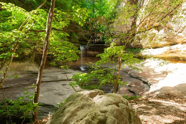 Reggeli Fény Lép Kanyonba Egy Gyönyörű Tavaszi Napon Starved Rock — Stock Fotó