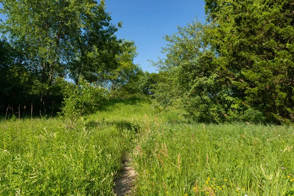 Trasa Parkem Krásného Letního Odpoledne Buffalo Rock State Park Illinois — Stock fotografie