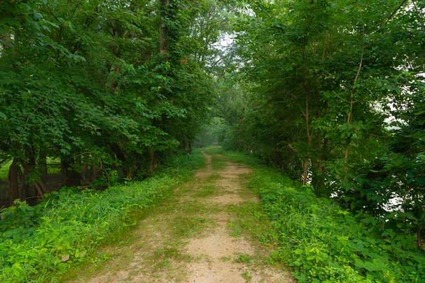 Trail Canal Tow Path Summer Morning Lasalle Illinois Usa — Stock Photo, Image