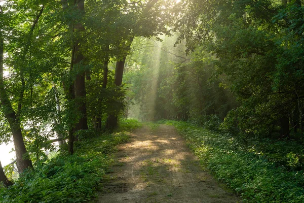 Trail Canal Tow Path Summer Morning Lasalle Illinois Usa — Stockfoto