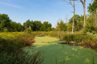 Güneşli bir yaz sabahı Chicago Portage 'da manzara. Lyons, Illinois, ABD.