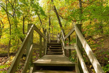 Güzel bir sonbahar sabahında Açlık çeken Rock State Park 'ta ahşap yol. Aç Rock State Park, Illinois, ABD.