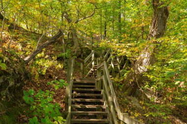 Güzel bir sonbahar sabahında Açlık çeken Rock State Park 'ta ahşap yol. Aç Rock State Park, Illinois, ABD.