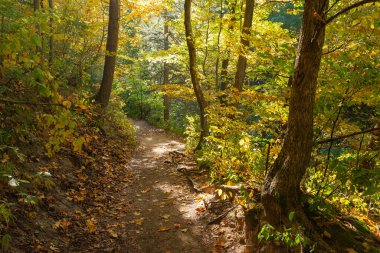 ABD 'nin Illinois eyaletindeki Starved Rock State Park' ta sonbahar arazisinde yürüyüş parkurunda..