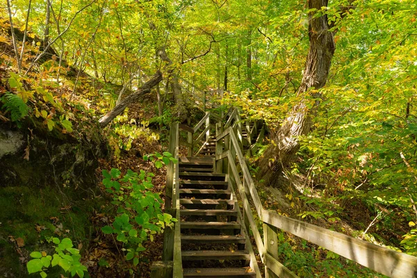 Pasarela Madera Starved Rock State Park Una Hermosa Mañana Otoño — Foto de Stock