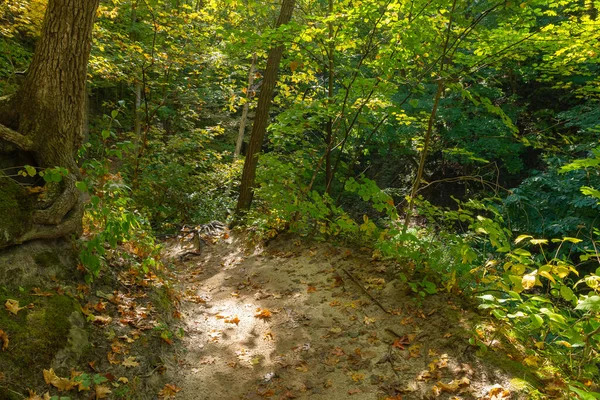 Szlak Turystyczny Przez Jesienny Krajobraz Starved Rock State Park Illinois — Zdjęcie stockowe