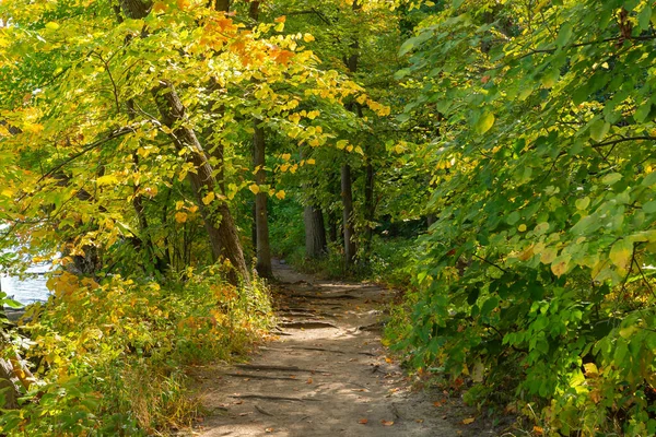 Szlak Turystyczny Przez Jesienny Krajobraz Starved Rock State Park Illinois — Zdjęcie stockowe