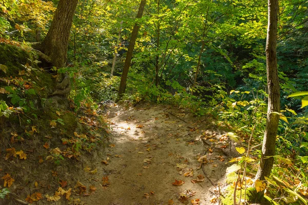 Turista Útvonal Keresztül Őszi Táj Éhezett Rock State Park Illinois — Stock Fotó