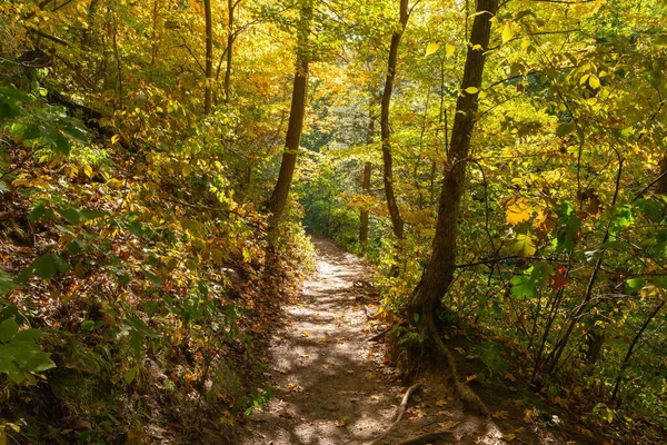 米国イリノイ州スターヴ ロック州立公園の秋の風景を通るハイキングコース — ストック写真
