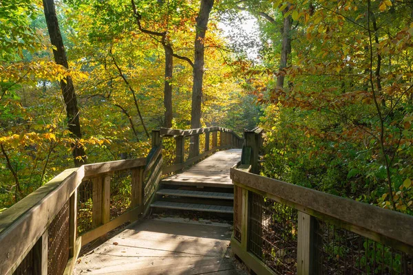 イリノイ州のスターブロック州立公園の秋の風景を通して木製の歩道 — ストック写真