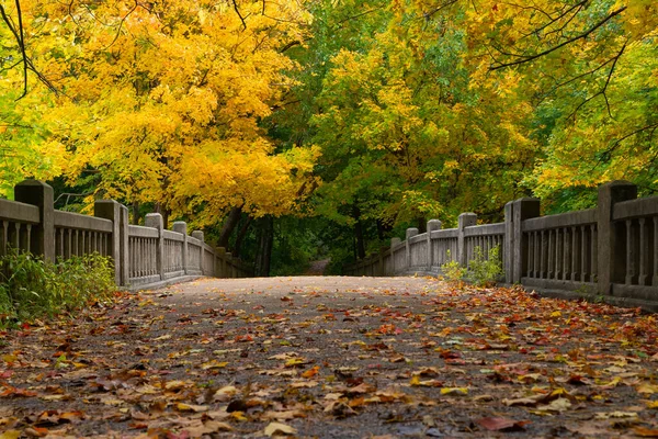 Bridge Lake Falls Beautiful Fall Morning Matthiessen State Park Illinois — Stock Photo, Image