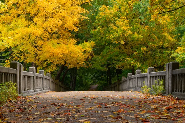 Güzel bir sonbahar sabahında, Falls Gölü 'nün üzerindeki köprü. Matthiessen Eyalet Parkı, Illinois, ABD.