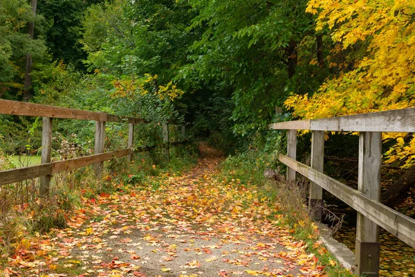 Sendero Senderismo Través Del Paisaje Otoño Matthiessen State Park Illinois — Foto de Stock