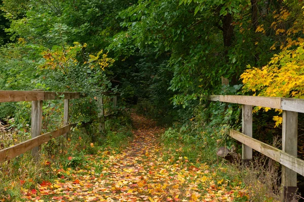 美国伊利诺伊州马蒂森州立公园的秋季风景远足小径 — 图库照片