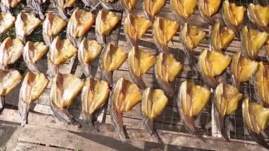 Kuru veya tütsülenmiş tatlı su balığını bambu ve ahşap tabakta Tayland geleneğini korumak için.