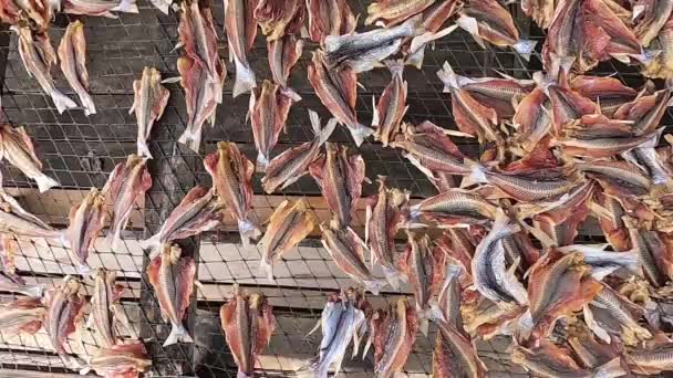 Pescado Agua Dulce Seco Ahumado Cerrado Bambú Placa Madera Para — Vídeo de stock