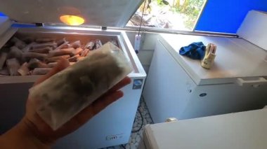 Tayland 'dan satışa sunulan donmuş yumuşak kabuklu yengeç endüstrisi