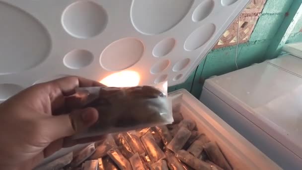 Tayland Dan Satışa Sunulan Donmuş Yumuşak Kabuklu Yengeç Endüstrisi — Stok video