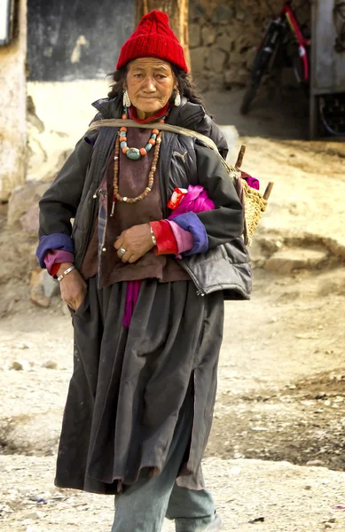 Senhora do Tibete em Ladakh — Fotografia de Stock