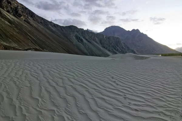 Sanddynerna i nubra valley, Indien — Stockfoto