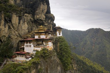 Taktshang goemba (kaplan manastır yuva), Birleşik Arap Emirlikleri