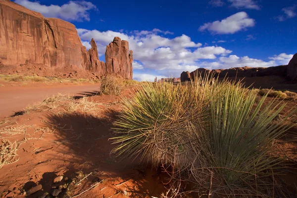 Arizona 'daki anıt vadisi — Stok fotoğraf