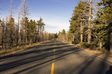 bryce Canyon yolu