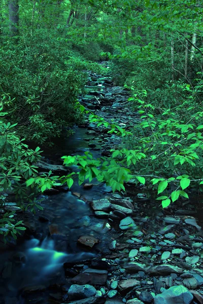 Fluxo de água em estado selvagem — Fotografia de Stock
