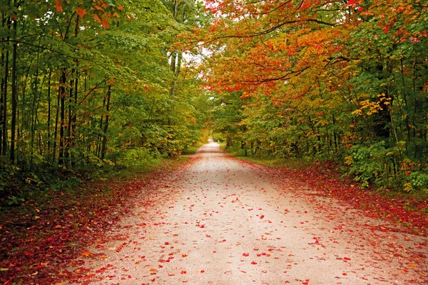 Beautiful walkway in with fall colors in Michigan USA — Stock Photo, Image