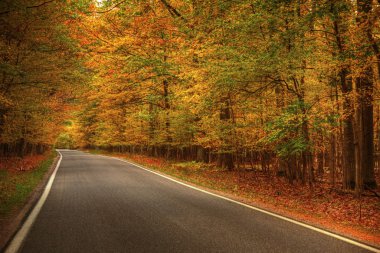 güzel geçit ile sonbahar renkleri michigan a.b.d.