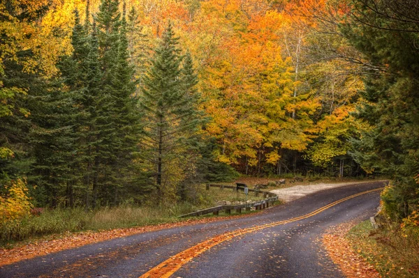 Beautiful walkway in with fall colors in Michigan USA — Stock Photo, Image