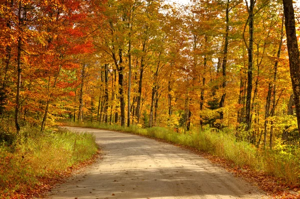Beautiful walkway in with fall colors in Michigan USA — Stock Photo, Image