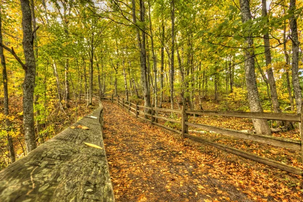 Beautiful walkway in with fall colors in Michigan USA — Stock Photo, Image