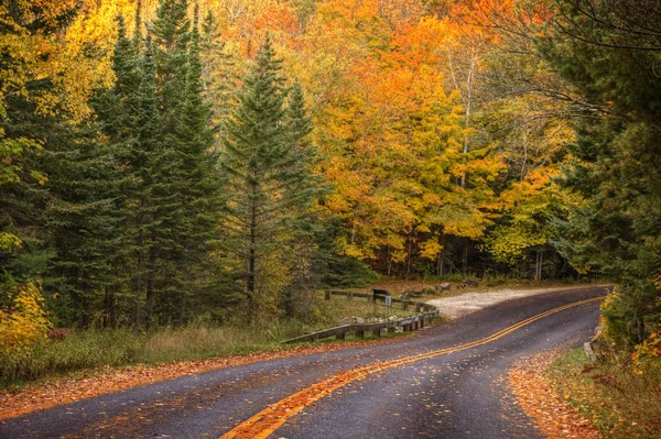 美丽的走道，在秋天的颜色在密歇根州美国 图库图片
