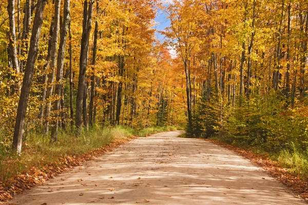 美しい通路に落ちるミシガン州米国の色 ストックフォト