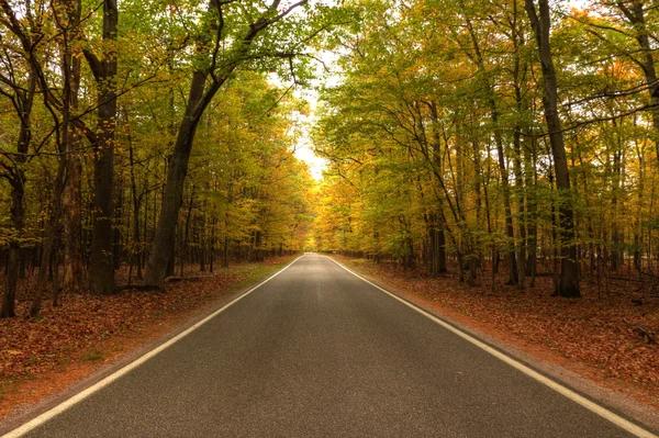 Belle passerelle avec des couleurs d'automne dans le Michigan États-Unis — Photo