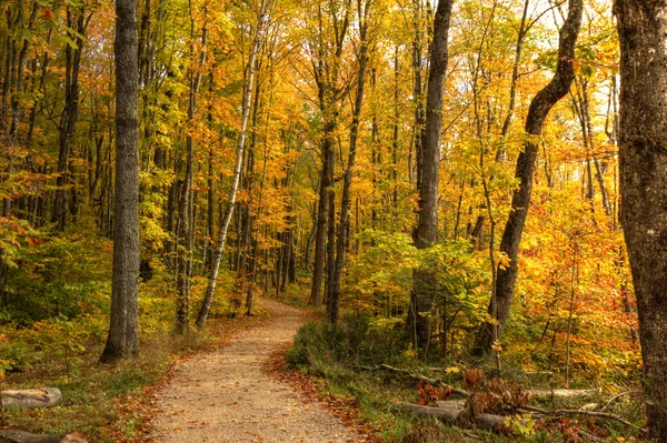 Beautiful walkway in with fall colors in Michigan USA — Stock Photo, Image