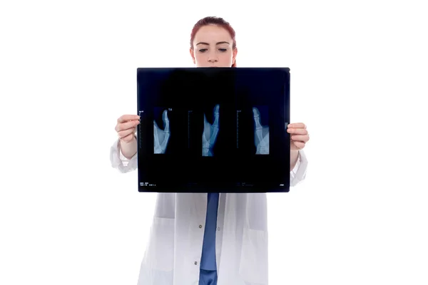 Female doctor inspecting an x-ray Royalty Free Stock Photos