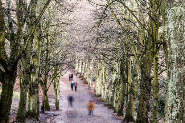 Pedestres em uma avenida arborizada no inverno — Fotografia de Stock