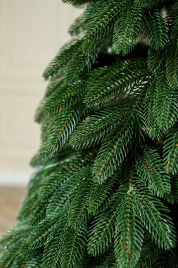 Oyuncaksız Noel ağacı. İyi yeni yıl ruhu. Yeşil bir Noel ağacının dalları