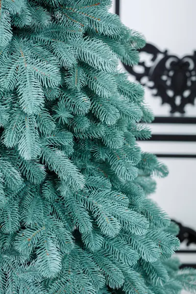 Close Kerstboom Zonder Speelgoed Goede Nieuwjaarssfeer Groene Takken Van Kerstboom — Stockfoto