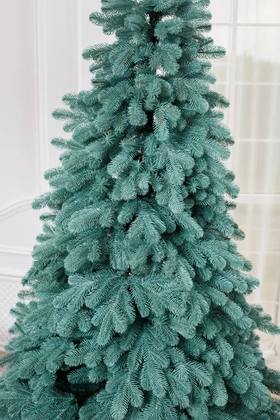 おもちゃなしでクローズアップクリスマスツリー 良い新年の精神 クリスマスツリーの緑の枝 — ストック写真