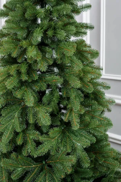 Close Kerstboom Zonder Speelgoed Goede Nieuwjaarssfeer Takken Van Een Groene — Stockfoto