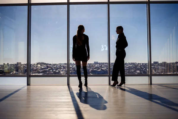 Dos Mujeres Negocios Disfrutando Vista Ciudad Hablando Mientras Están Pie — Foto de Stock