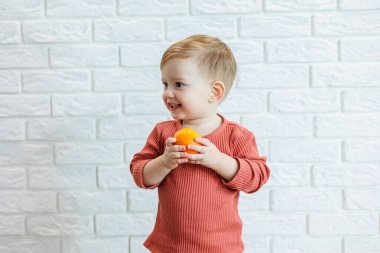 2 yaşında küçük bir çocuk elinde turuncu turunçgil meyvesi tutuyor. Çocuk mandalina yemek istiyor.