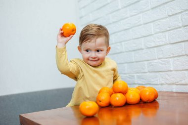 2 yaşında küçük bir çocuk mandalinaları elinde tutuyor. Çocuk ilk kez turunçgillerin üzerine oturmak istiyor..