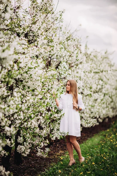 Bella Giovane Donna Vicino Fioritura Albero Bianco Nel Parco Primaverile — Foto Stock